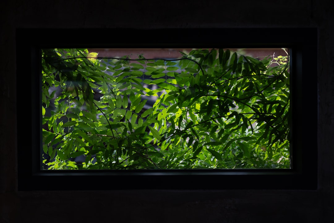 Jak dobrać parapet drewniany do okien PCV? Praktyczny przewodnik